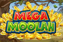Mega Moolah Mega Moolah